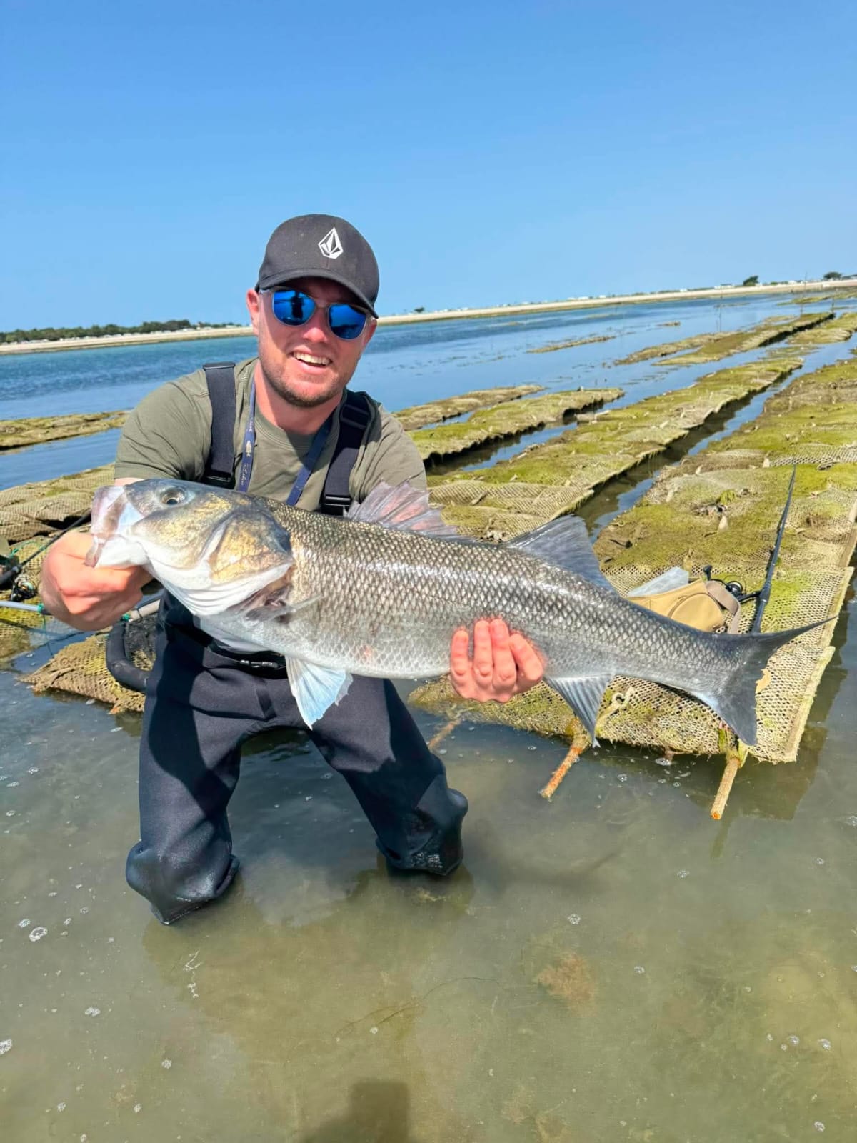 Bien débuter la pêche du bar aux leurres