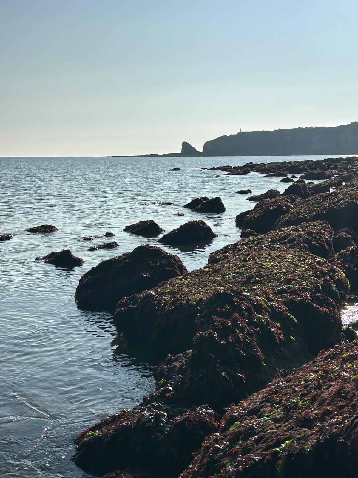 L'estuaire de l'Aven, mode d'emploi